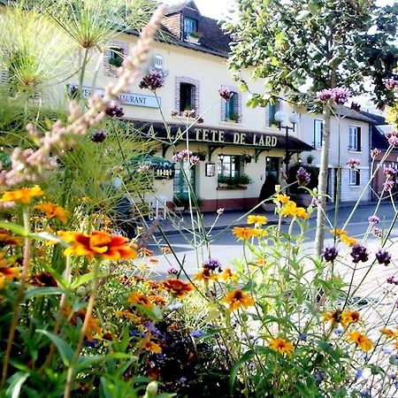 Logis Auberge A La Tete De Lard La Ferté-Imbault Exteriör bild