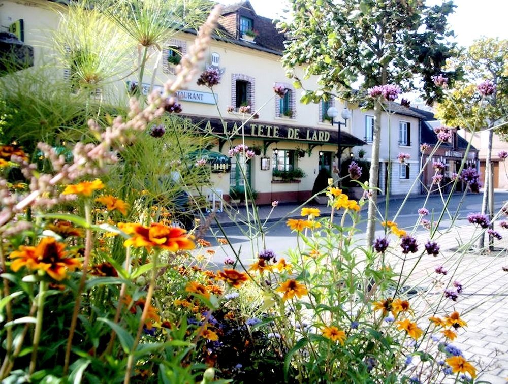 Logis Auberge A La Tete De Lard La Ferté-Imbault Exteriör bild